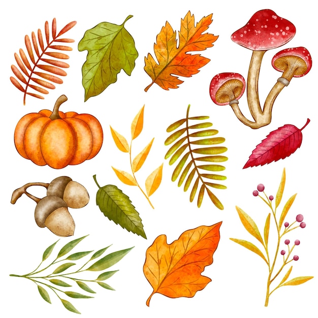 Free vector watercolor autumn elements collection