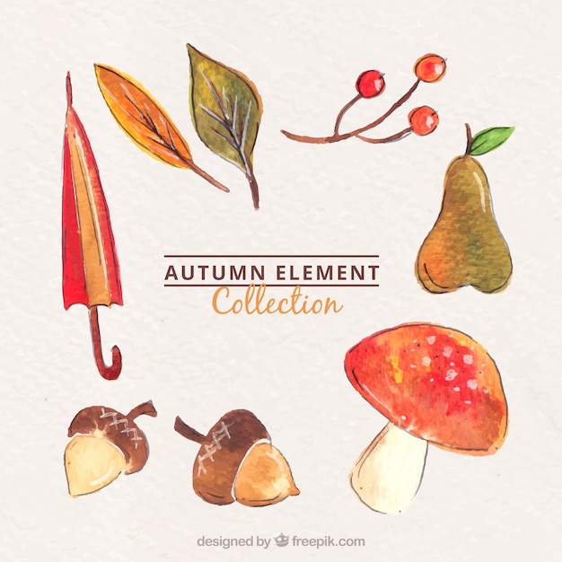 Watercolor autumn elements