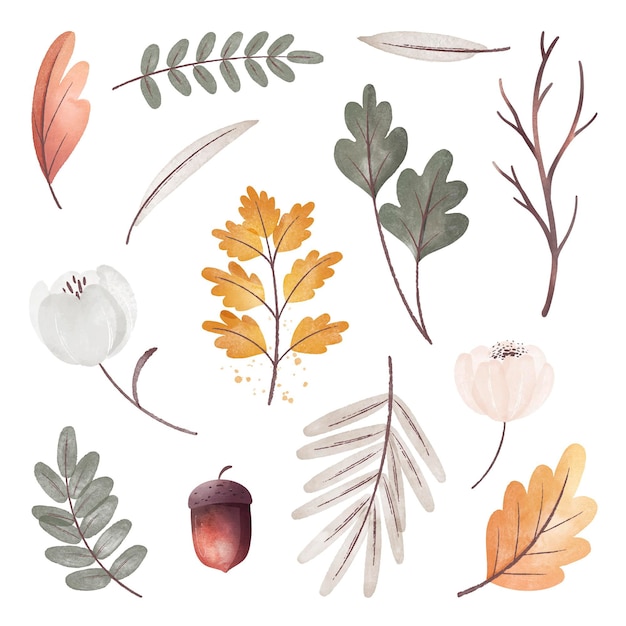 Watercolor autumn forest set of element