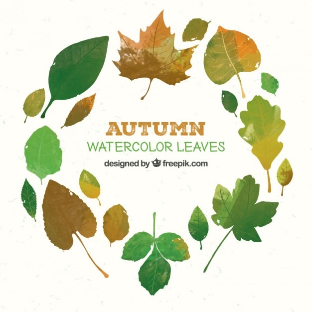 Free vector watercolor autumn leaves collection