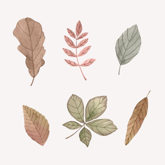 Watercolor autumn leaves collection