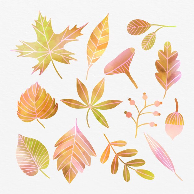 Watercolor autumn leaves collection