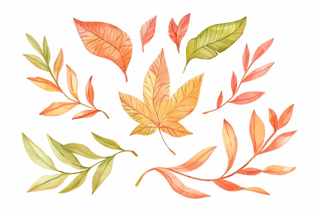 Коллекция акварельных осенних листьев
