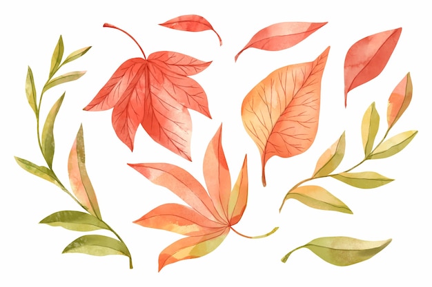 Watercolor autumn leaves collection