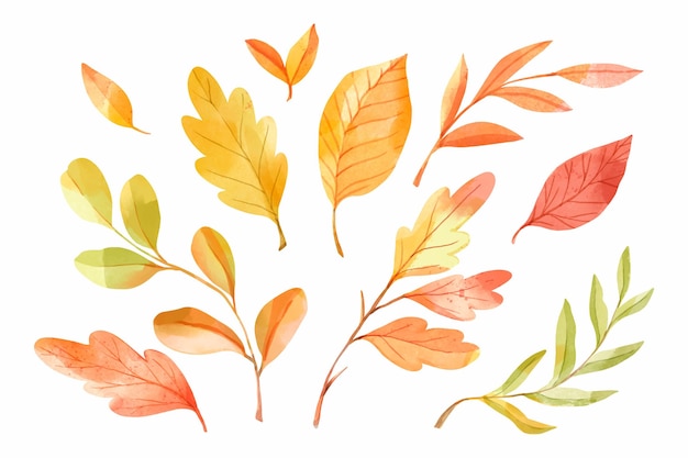 Watercolor autumn leaves collection