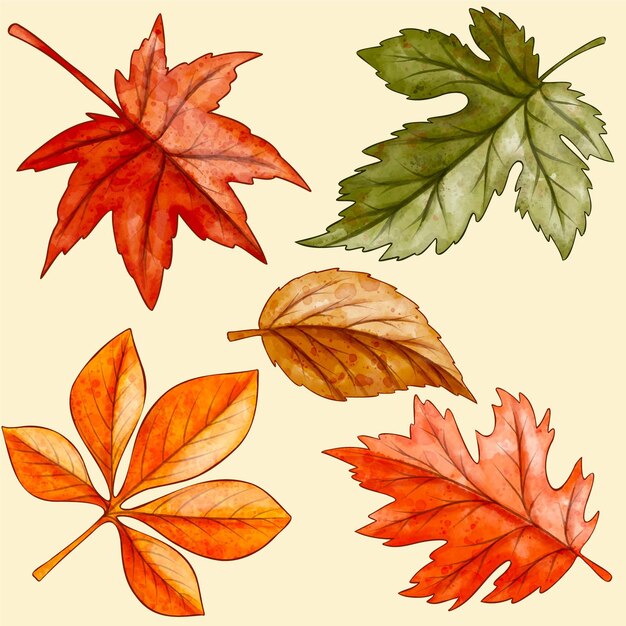 Watercolor autumn leaves collection
