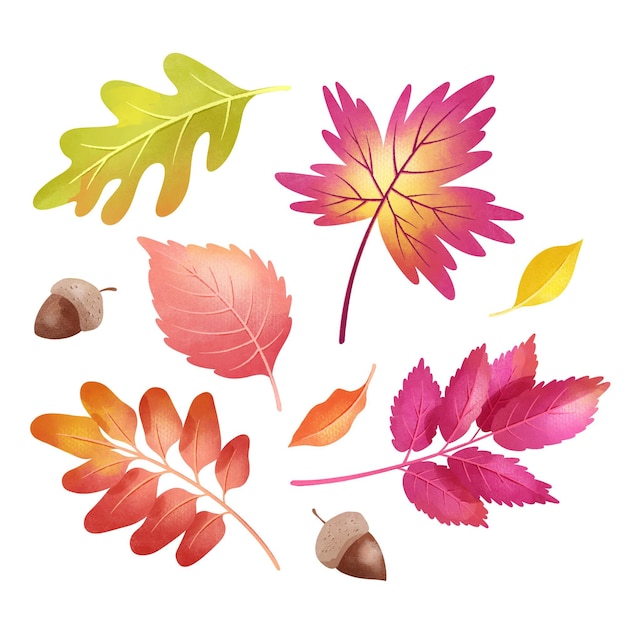 Free vector watercolor autumn leaves set