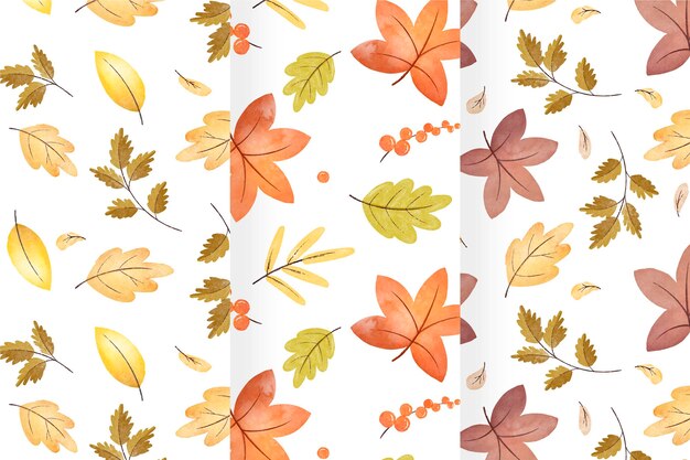 Watercolor autumn pattern collection