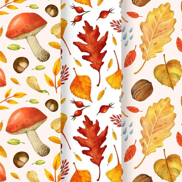 Watercolor autumn pattern collection