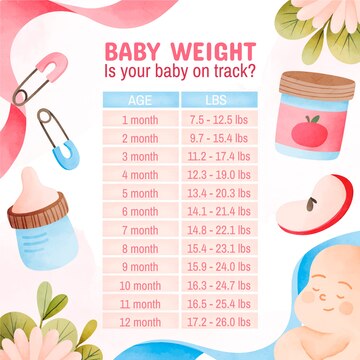 Free Vector | Watercolor baby weight infographic