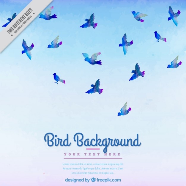 Free vector watercolor background with blue birds