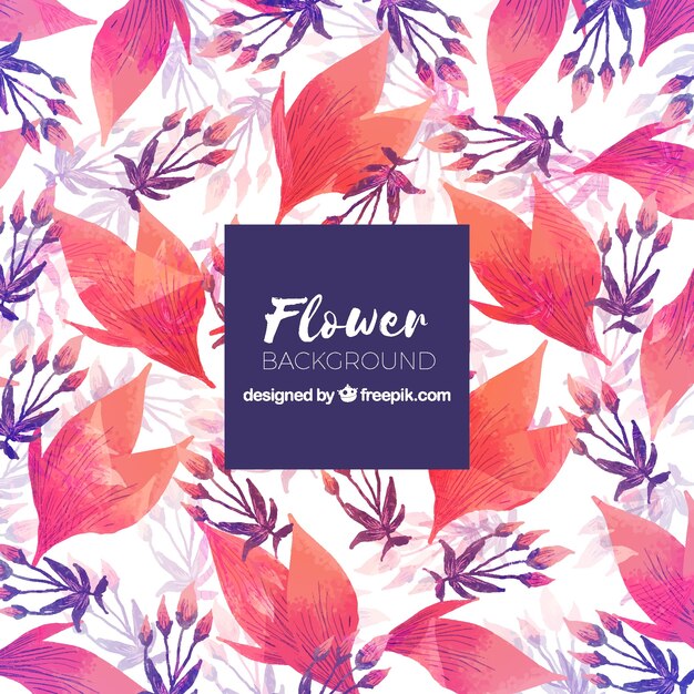 Watercolor background with exotic flowers