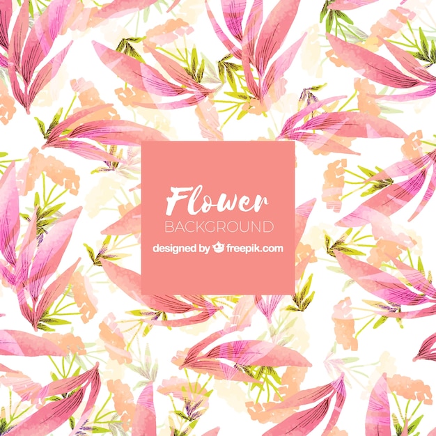 Free vector watercolor background with exotic flowers