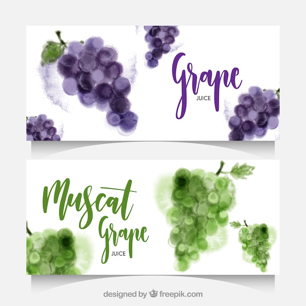 Watercolor banners of grapes