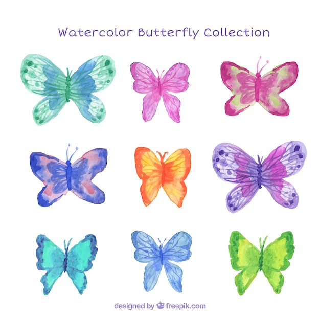Vettore gratuito acquerello belle farfalle impostati