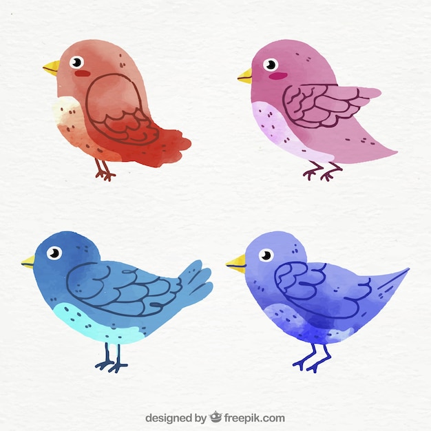 Free vector watercolor bird collection