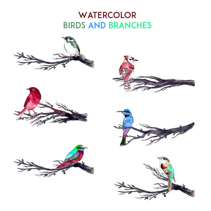 Free Vector watercolor birds and branches