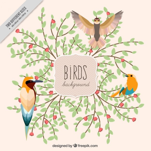 Free Vector watercolor birds with branches background