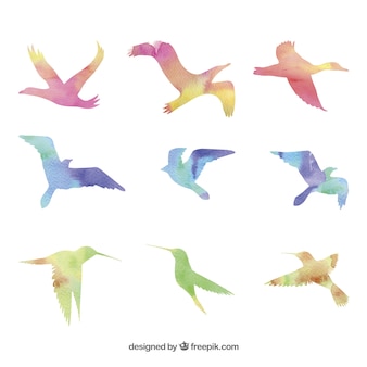 カラフルな鳥 画像 無料のベクター ストックフォト Psd カラフルな鳥 画像 無料のベクター ストックフォト Psd