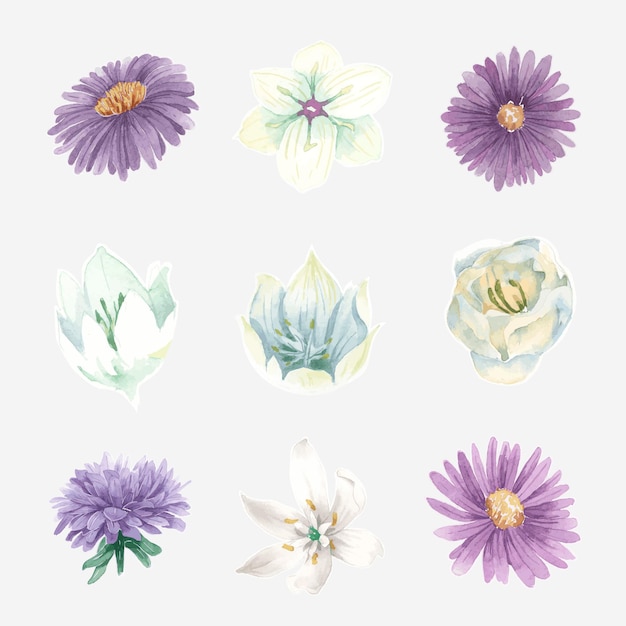 Vettore gratuito set di fiori in fiore ad acquerello watercolor