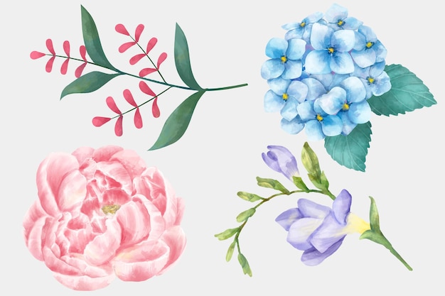 Акварель цветущие цветы векторный клипарт коллекция