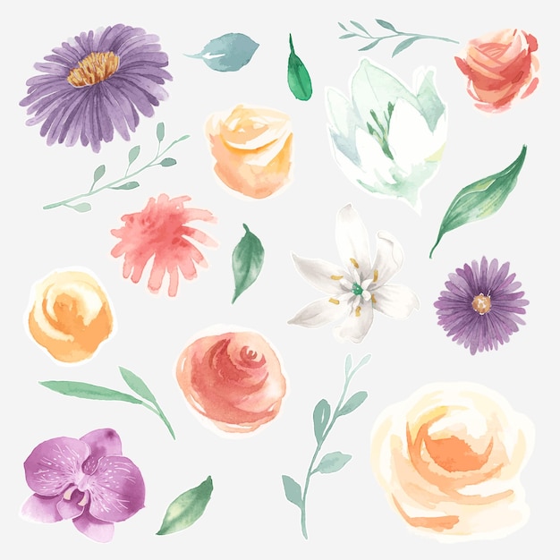 Watercolor blooming flowers vector set