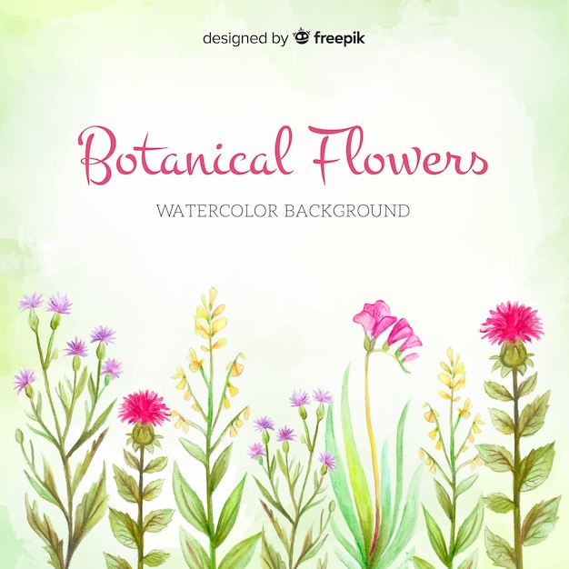 Free vector watercolor botanical background