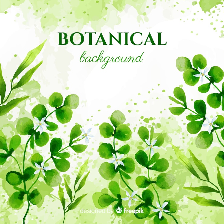 無料Vector 水彩画の植物の背景