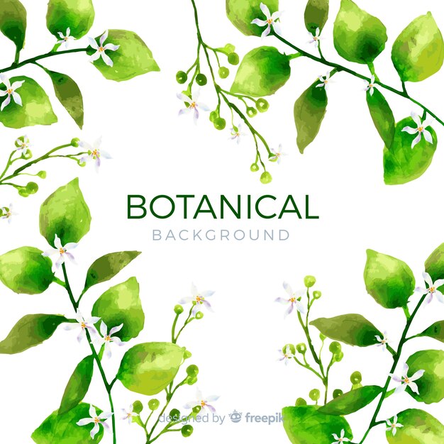 Watercolor botanical background
