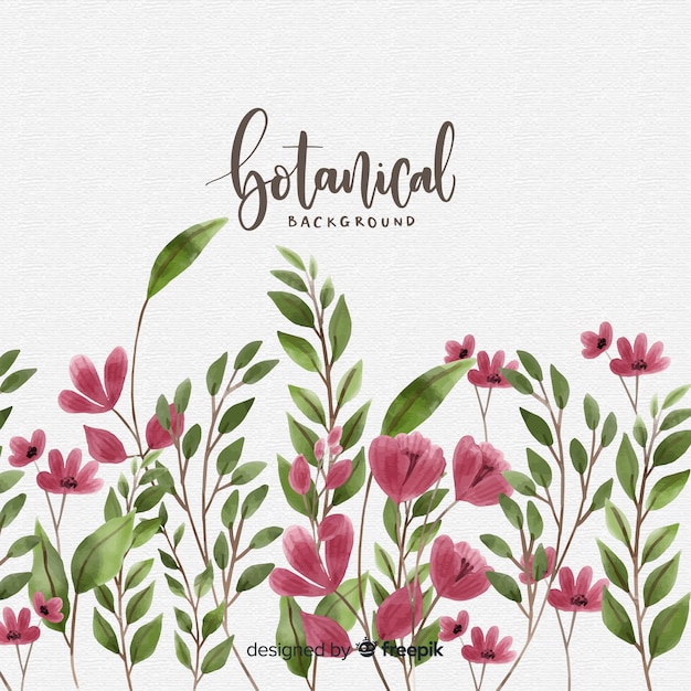 Free vector watercolor botanical background