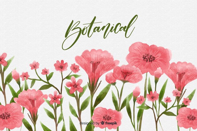 Watercolor botanical background