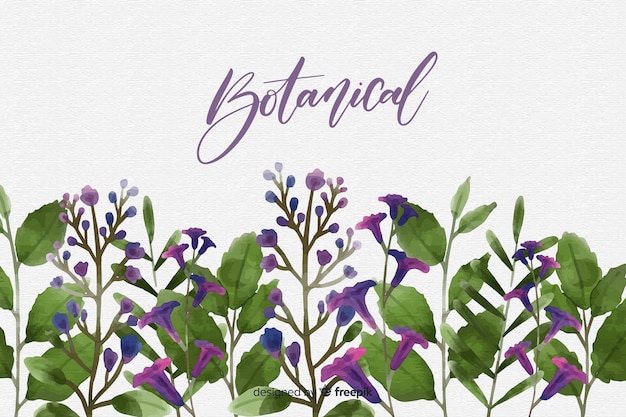 Watercolor botanical background