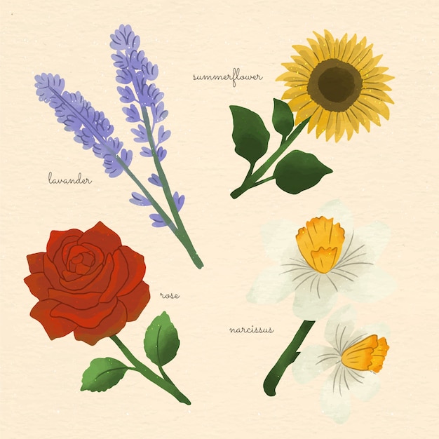 Free vector watercolor botanical flower chart