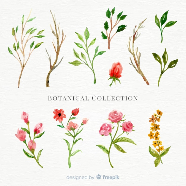 Бесплатное векторное изображение Акварель ботаническая цветочная коллекция