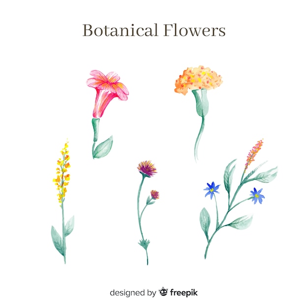 Watercolor botanical flower collection