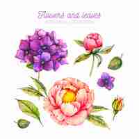 Бесплатное векторное изображение Акварельные ботанические цветы и листья