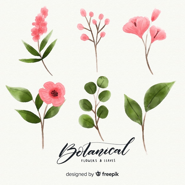 Бесплатное векторное изображение Акварельные ботанические цветы и листья