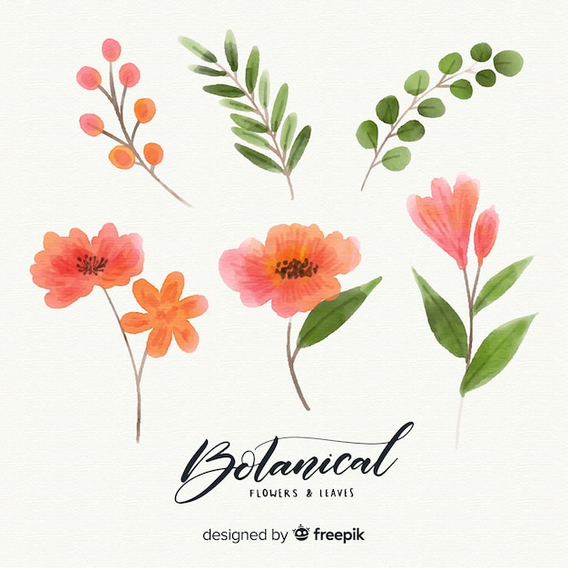 Free vector watercolor botanical flowers and leaves