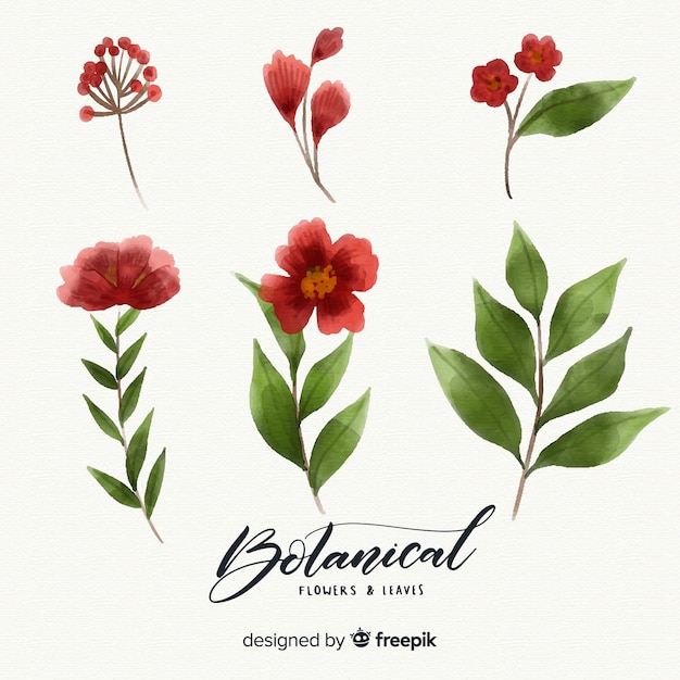 Free vector watercolor botanical flowers and leaves