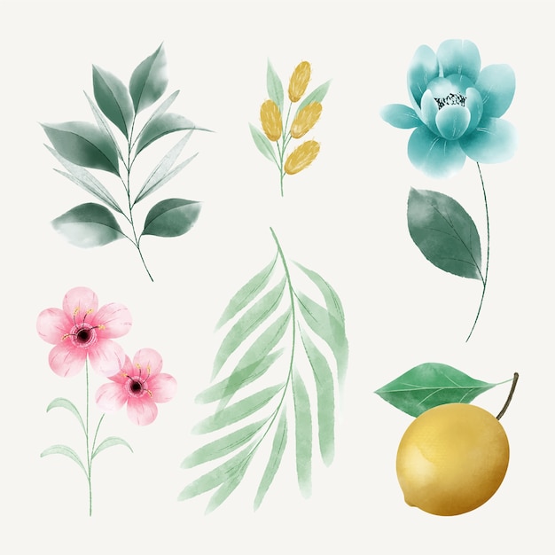 Free vector watercolor botanical garden element set