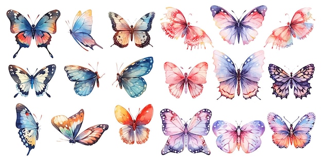 Free vector watercolor butterfly clipart