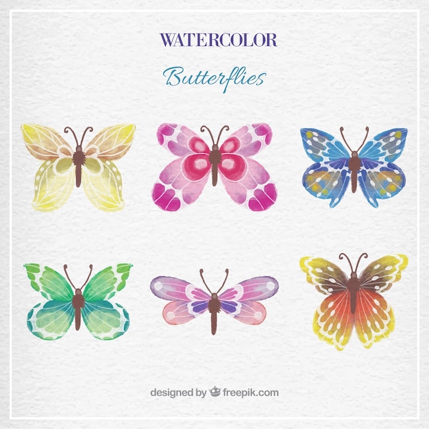 Watercolor Butterfly Collection