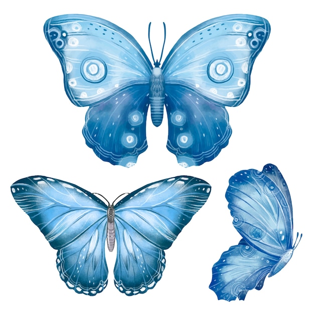 無料ベクター 水彩の蝶のコレクション