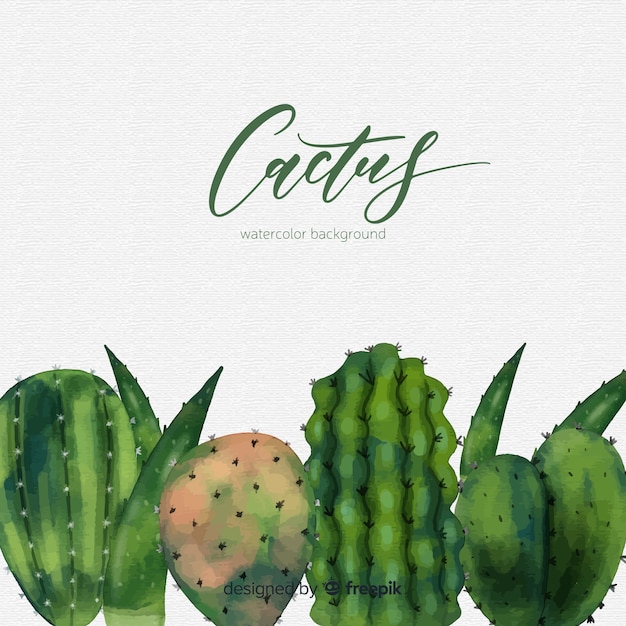 Watercolor cactus background