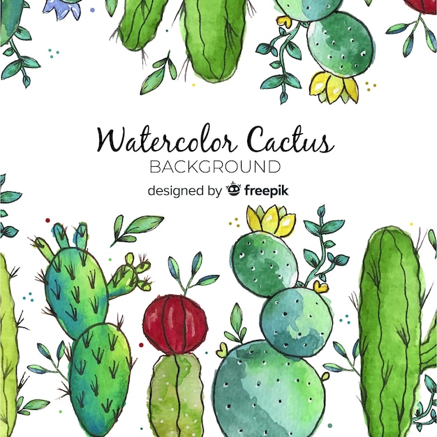 Watercolor cactus background