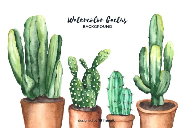 Watercolor cactus background