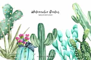 Free vector watercolor cactus background