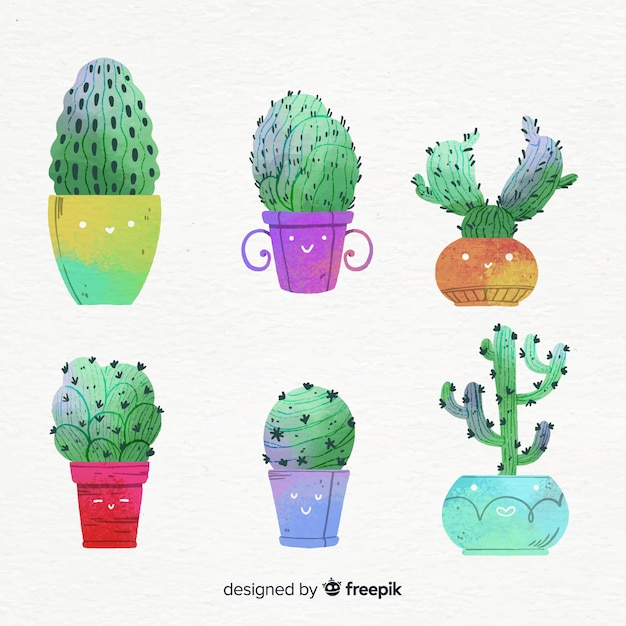 Collezione di cactus dell'acquerello