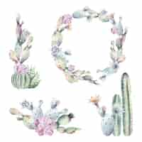 Free vector watercolor cactus frames and bouquets