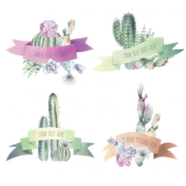 Watercolor Cactus & Ribbon Collection